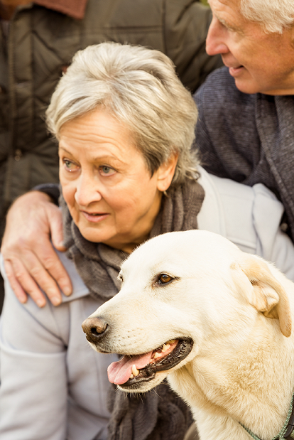 Studies Reveal Canine Companionship May Help with Alzheimer's Disease