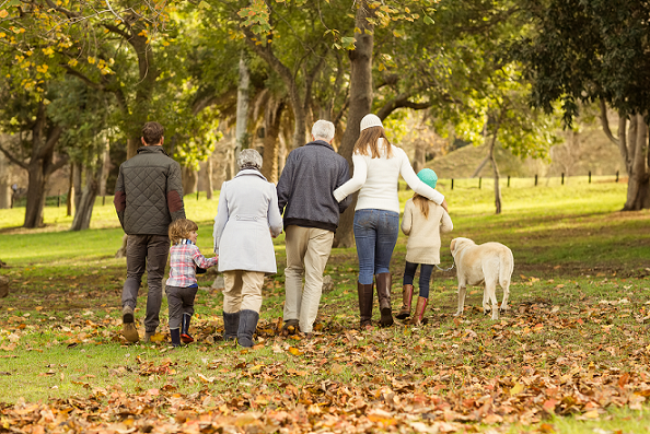 8 Tips on Walking for Exercise from Harvard Health